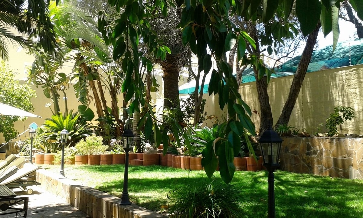 Lush garden courtyard with large trees, potted plants, green grass, and stone walls under sunlight