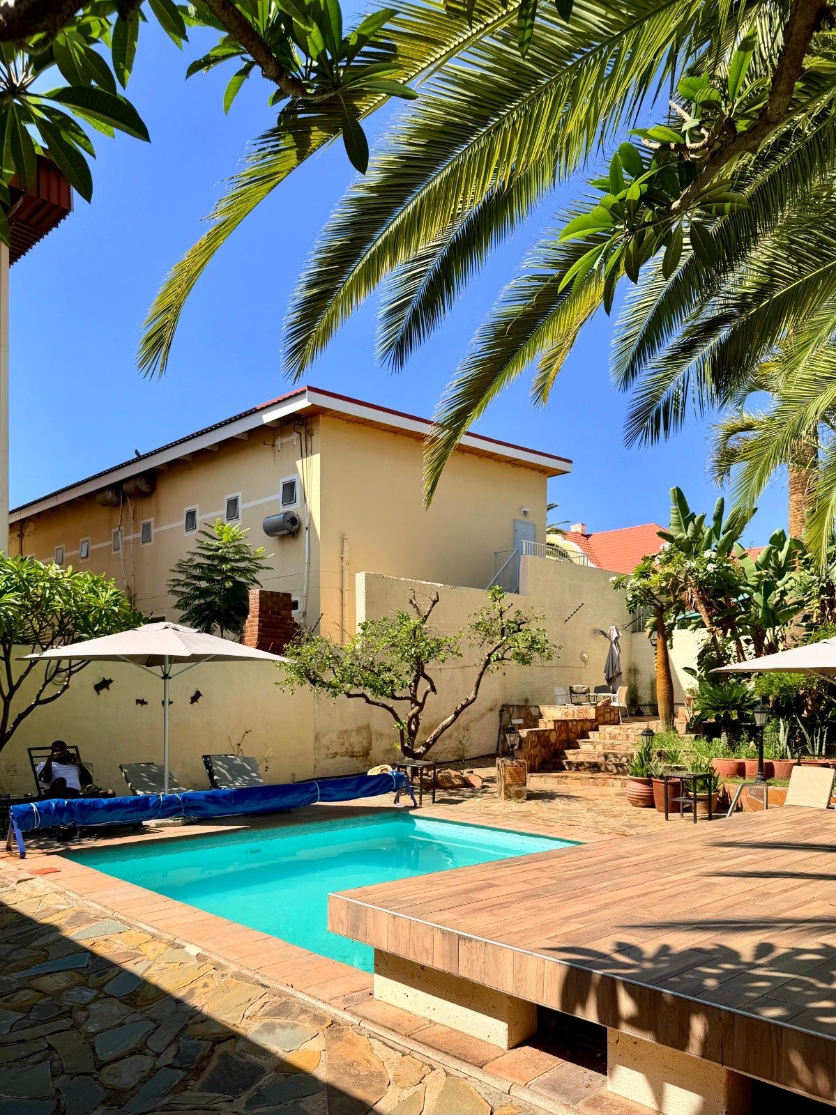 Tropical backyard with bright blue swimming pool, wooden deck, beige house, palm trees overhead, and white umbrellas under clear blue sky
