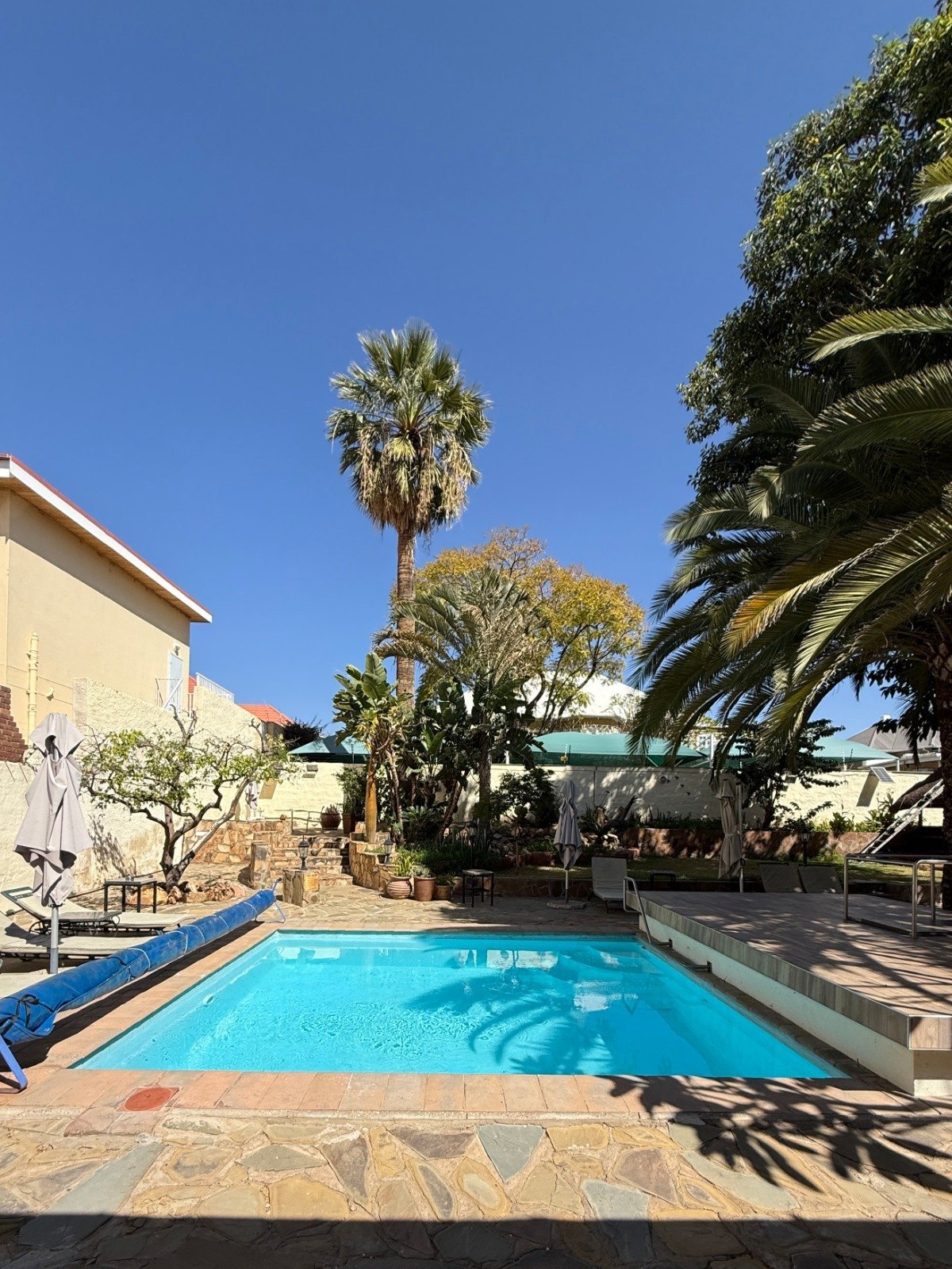 Backyard swimming pool with clear blue water surrounded by tropical plants, palm trees, and stone patio under bright sunny skies